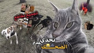 تجميع مقاطع تحدي عدم الضحك مع مقاطع عشوائية 😂🔥|#تريد_تضحك_تابع_توته