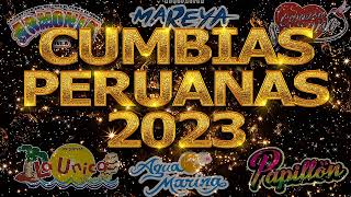 MIX CUMBIAS PERUANAS BAILABLES - PRIMICIAS 2023 (Grupo 5, Agua Marina, Armonia10) MIX AÑO NUEVO 2023