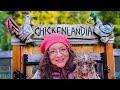 Welcome to Chickenlandia 2024!