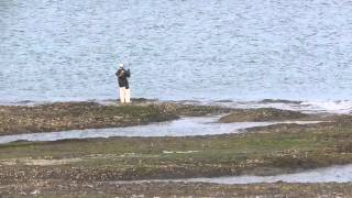 日曜日干潮時のみなべ町堺森の鼻の釣人