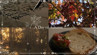 An Autumn Day | Cinematic Cottagecore | Forest Walk, Avocado Toast, Writing ASMR | Slow Living