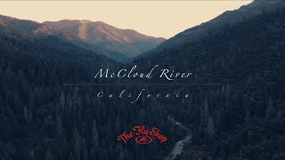 McCloud River fly fishing with The Fly Shop