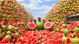 Chinesische Bauern erzielen Rekordernte von 61 Millionen Tonnen Wassermelonen