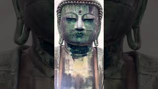 Great Buddha  at Kamakura Japan 🇯🇵 大仏鎌倉　#travelvlog #traveljapan