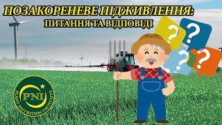 Позакореневе підживлення: відповіді на найпопулярніші питання