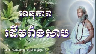 លោកតាសក់សភ្នំត្បែង និយាយអំពីអានុភាពដើមរាំងសាបដាំនៅមុខផ្ទះ