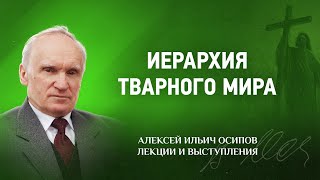 2007 Иерархия тварного мира — The hierarchy of the created world