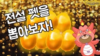 펫 뽑기 해볼까!? 전설 나와랏! [ 펫 뽑기 ] 스톤에이지 모바일 Stone age mobile - pet buying [테드tv,Tedtv]