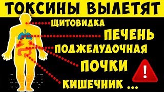 17 продуктов для Полной Чистки от Токсинов и Шлаков Лучше любых Лекарств