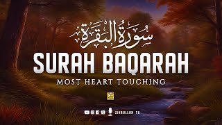Best Surah Al Baqarah Full سورة البقره | Heart touching recitation | SOFT VOICE | Zikrullah TV