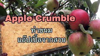 Apple Crumble,ขนมอังกฤษชอบทานกัน|เก็บแอ๊ปเปิ้ลสดๆจากสวนมาทำขนม#อังกฤษ #apple #เมียฝรั่ง #สดๆ