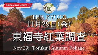 The fall foliage situation at Tofukuji Temple on Friday, November 29