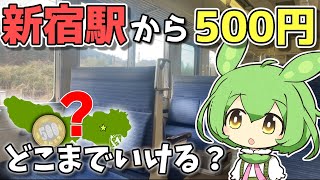 【前編】たった500円で行ける！？新宿からギリギリ辿り着ける”限界の地”を観光してみた【ずんだもん】