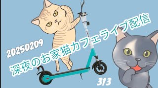 深夜のお家猫カフェライブ配信 ３１３