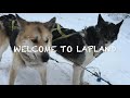 ロヴァニエミで犬ぞりに乗った！koiravaljakkoajelu rovaniemella husky ride in rovaniemi