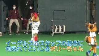 20220410 イーグルスのスタッフの動きをいじるポリーちゃん