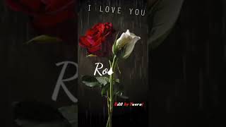 #roshni name status for WhatsApp 🥀 roshni name lovers status video trending 🥀 roshni name art status