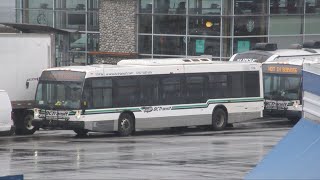 BC Transit Novas at Tsawwassen - February 1st, 2021