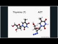 Introduction to HIV Evolution