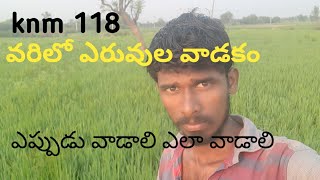 వరి లో ఎరువులు ఎప్పుడు వేసుకోవాలి? ఎలా వేసుకోవాలి? !! Paddy