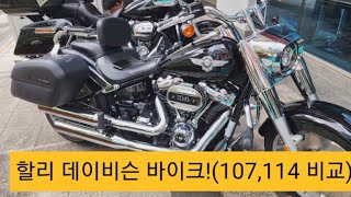 할리 데이비슨 바이크 2대 비교!(107, 114 모델)ㅡ제 친구의 바이크(내 것 아님)