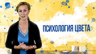 Психология цвета / Какую одежду мы выбираем