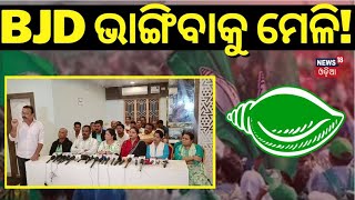 BJD ଭାଙ୍ଗିବାକୁ ମେଳି | Berhampur BJD Conflict | Naveen Patnaik | BJD Corporators | Odia News