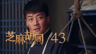 芝麻胡同 43 | Memories Of Peking 43（何冰、王鷗、劉蓓等主演）