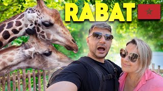 Is Rabat Zoo Worth Visiting in Morocco? 🇲🇦
