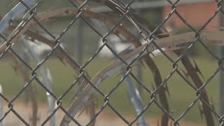 Iryna’s Law leading to overcrowding at jails in Charlotte region