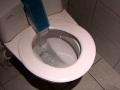 Self-cleaning toilet in Switzerland