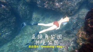 朝聖新手聖地｜潮境+鼻頭角公園｜自由潛水｜Freediving