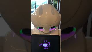 sleep mode PEPPER ROBOT