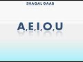 somali shaqal gaab iyo shaqal dheer vowels