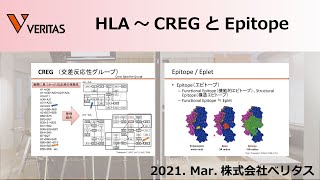 HLA ～CREGとEpitope～