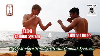 2 of Modern Hand to Hand Combat Systems