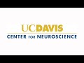 Welcome to the UC Davis Center for Neuroscience