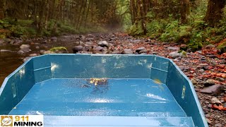 Gold Panning \u0026 Pulling Gold Pickers From This Creek!