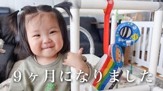 【生後９ヶ月】できるようになったこと