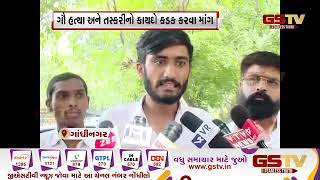 Gandhinagar : ગૌ હત્યા અને તસ્કરીનો કાયદો કડક કરવા માંગ | Gstv Gujarati News