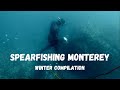 Spearfishing Monterey and Carmel!!! (Winter 2024 Compilation)