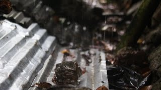 Heavy Tin Roof Rain sounds for 10 hours | Tin Roof Rain Sounds For sleeping