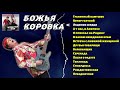 Божья Коровка Легендарные песни Альбом целиком Лирик видео