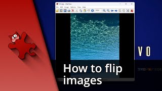 How to flip an image in IrfanView ✅ Tutorial