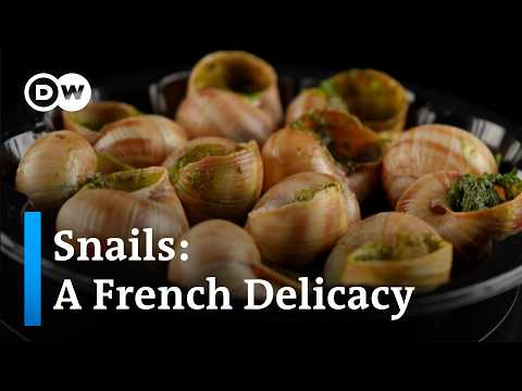 What region of France does escargot come from?