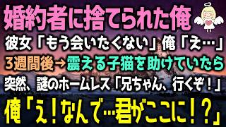 【感動する話】婚約者に捨てられた俺。3週間後→震える子猫を助けていたら突然、謎のホームレス「兄ちゃん、行くぞ！」俺「え！なんで…君が！？」（泣ける話）感動ストーリー朗読 総集編