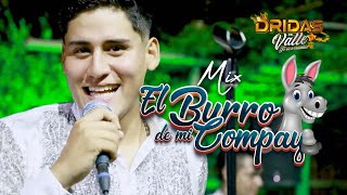 DRIDAS DEL VALLE - MIX EL BURRO DE MI COMPAY - VIDEO OFICIAL 2024