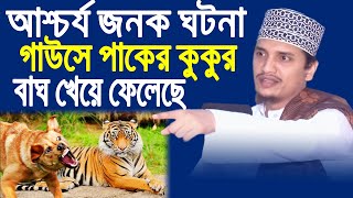 গাউছে পাকের কুকুর যে ভাবে বাঘ খেয়ে ফেলেছে । Joynal Abedin Qaderi । Bangla Waz । জয়নাল আবেদীন কাদেরী