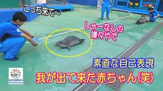 【アザラシ】しっかりと我が出て来たみたいです(笑)　（伊勢シーパラダイス）