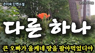 은미숙/시아버지가 살아계실 때 삼형제에게 땅을 나눠주었다/책읽어주는여자